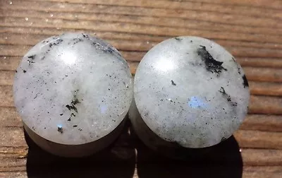 Rare! Pair Of Real Rainbow Moonstone Plugs Gauges Body Jewelry Double Flared • $6.99