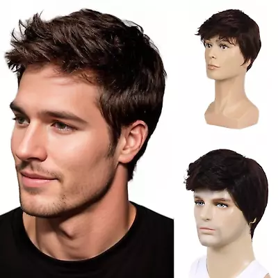 Men Short Brown Wig Handsome Male Daily Costume Synthetic Full Wigs Natural Brow • $29.81