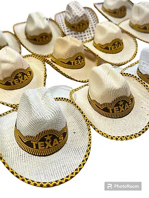 Set Of 12 Mexican Mini Palm Hats  Car  Decor  Sombrero  Hanger    Texas • $42