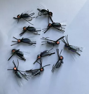 1 Dozen Harrison’s Mega Bug Foam Cicada Size 4 • $14.95