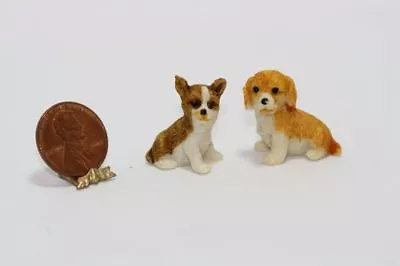 Dollhouse Miniature 1:12 Scale Set Of Two Brown Tan And Cream Dogs Or Puppies • $4.99