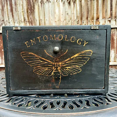 Antique Entomology Collectors Cabinet / Drawers • £210