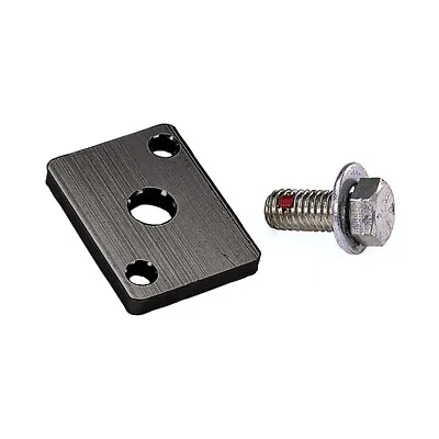 Moroso Engine Oil Pump Block-Off Plate 23790; Block-Off For Dry Sump For SBC/BBC • $24.99