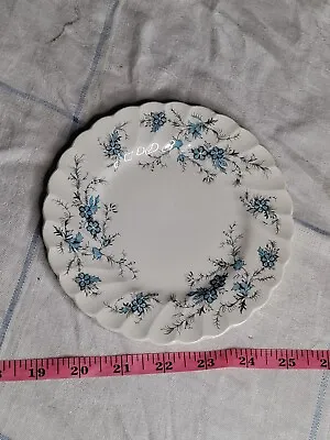 2 Myott Staffordshire Forget Me Not Small Vintage China Plate 5in • $15