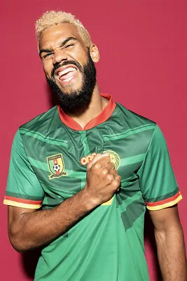 Eric Maxim Choupo-Moting Cameroon World Soccer 2022 Wall Art - POSTER 20 X30  • $23.99