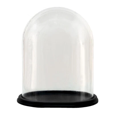 £49.99 • Buy Glass Display Cloche Bell Jar Dome OVAL Flower Preservation Vase 33cm Taxidermy