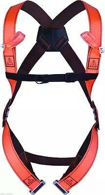 Delta Plus Har12 2 Point Fall Arrest Harness • £14.99