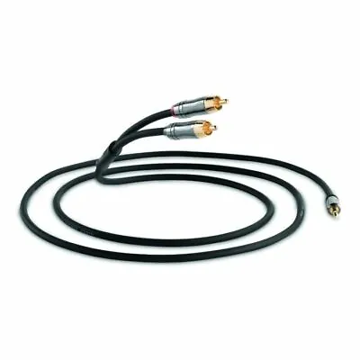 QED QE6500 Performance Audio J2P Graphite Jack To Phono 1.5m (4.9 Ft) Cable • $33