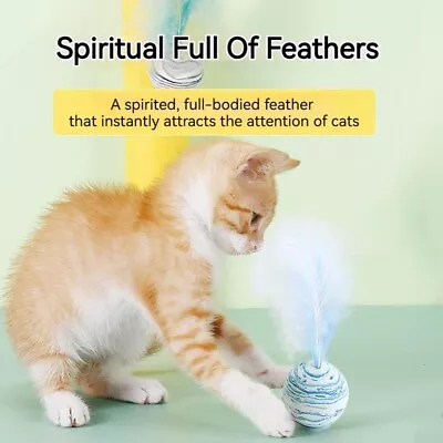 Au Cat Starry With Feather Toy Ball Pet Toss Interactive Play Relieve Boredom • $9.68