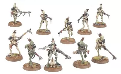 X10 NEW Kroot Carnivore Squad - Tau Empire - Kroot Hunting Pack - Warhammer 40k • £20