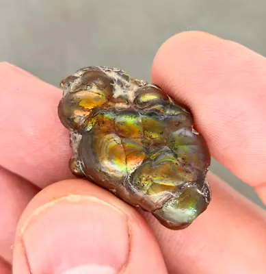 33.61 Ct Beautiful Iridescent Mexican Window Fire Agate Rough Specimen • $40