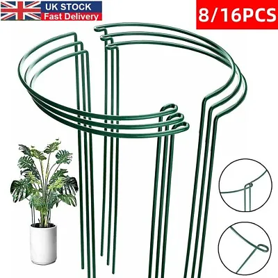 8/16X Round Metal Plant Supports Stake For Peonies Hydrangea Strong Metal Garden • £11.99
