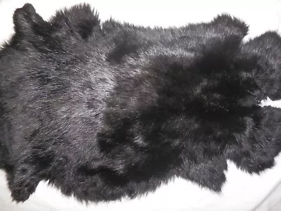 8 X14  BLACK Rabbit Skin Hide Pelt Craft #062 • $13