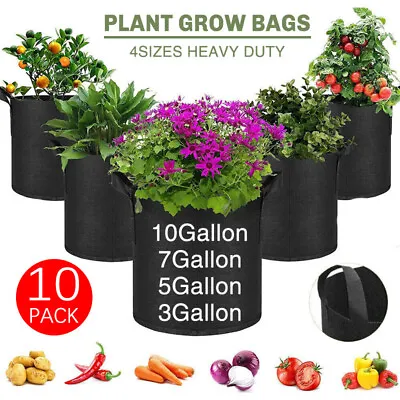 10X 10 Gallon Vegetable Grow Bags Plant Grow Bags Breathable Garden Growing Bag • £5.69