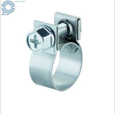 $5.73 • Buy 10 Pcs 1/4  Fuel Injection Gas Line Hose Clamps Clip Pipe Auto Vacuum Coolant