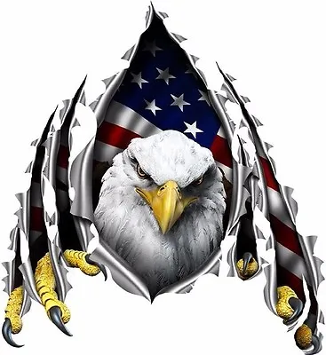 American Flag Eagle Rip Decal Camper RV Motor Home Mural Graphic • $10.74