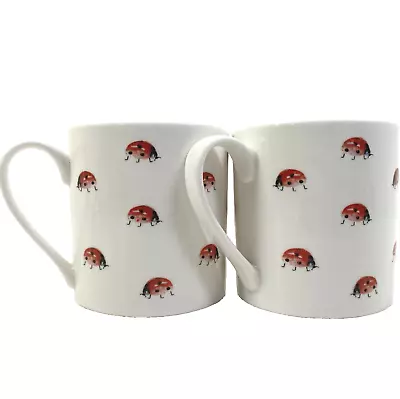 Ladybird Pair Ceramic Mugs Set 2 Bug Insect Wildlife Red Art Graphic Cottagecore • £10.99