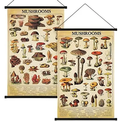 2 Pcs Vintage Mushroom Poster Fungus Wall Art Prints Rustic Mushroom Wall Han... • $18.38