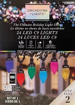 Gemmy Orchestra Of Lights 24-Count 23-ft Multi-function Multicolor LED C9 • $79