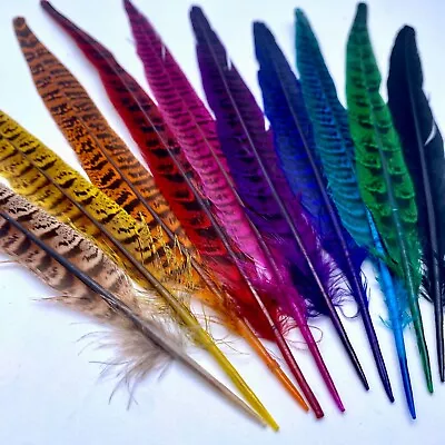 Natural Pheasant Tail Feathers 25 - 30cm Colour Craft Hat Decorations Wedding UK • £1.99