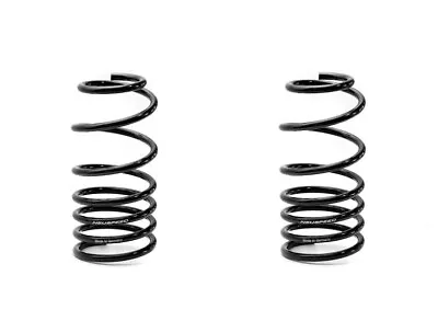 Front NEUSPEED (made By Eibach) Lowering Springs B5 VW Passat Audi A4 S4 C5 A6   • $49.95