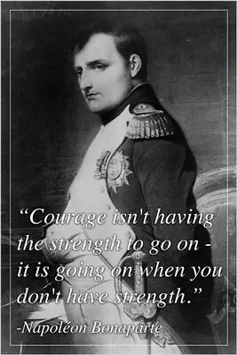 NAPOLEON BONAPARTE French Military Leader MOTIVATIONAL QUOTE POSTER 20x30  • $9.99
