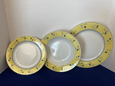 £19.66 • Buy Royal Doulton Blueberry Salad & Dinner Plate Soup Bowl 2005 3 Piece New In Box