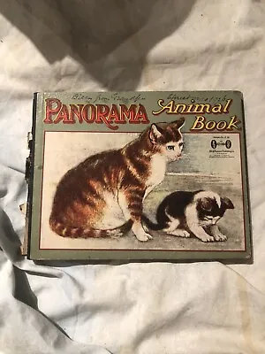£48 • Buy Panorama Animal Book Antique Vintage 1926 Childrens Illustrated 