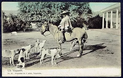 854 Chile Tradition Un Vaquero Horse Unused Postcard • $15