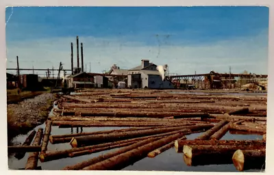 Montana Lumber Mill & Mill Pond Vintage Chrome Postcard • $3.65