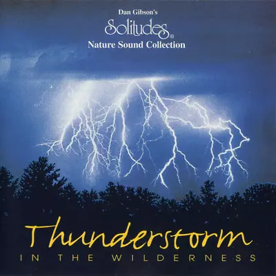 Dan Gibson - Thunderstorm In The Wilderness CD (2010) Audio Reuse Reduce Recycle • £2.56