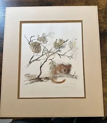 Mads Stage ‘76 Hasselmus Dormouse Wildlife Watercolor Painting Signed Danish • $40