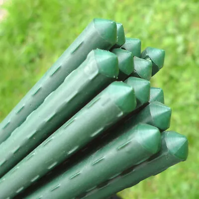 Plastic Coated Green Steel Plant Support Stake Tomato Garden 0.75/1.2/1.5/1.8m • £26.98
