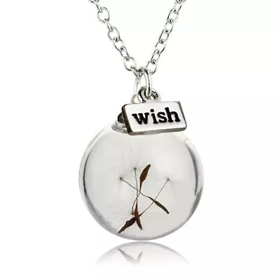 Fashion Women Real Dandelion Lucky Glass Wish Bottle Pendant Necklace Hot • $7.99