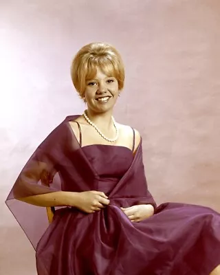 Hayley Mills Elegant Pose In Purple Dress Smiling 1960's 8x10 Inch Real Photo • $10.99