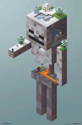 Minecraft - Skeleton Tundra Poster • $22.99