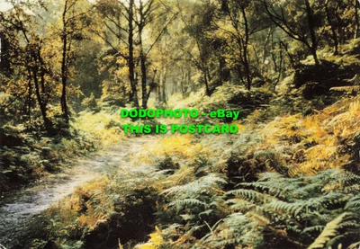 £5.75 • Buy L145104 Sherbrook Valley. Cannock Chase. T. W. W. Jones. L. A. M. Productions. 1
