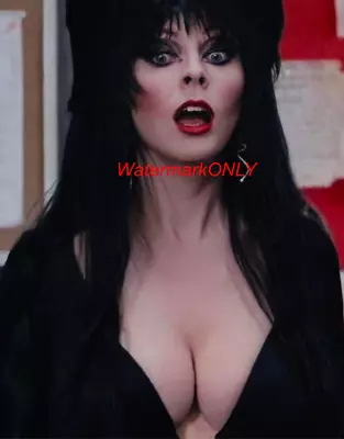 Cassandra Peterson  Elvira   Mistress Of The Dark  SEXY  Pin-Up  PHOTO! #(217) • $9.99
