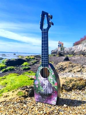 $45.95 • Buy 21  Soprano Ukulele 4-String Hawaii Guitar Printed Cat Top Board Aus Stock