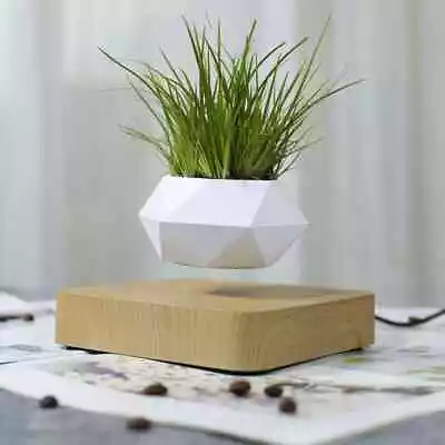 Light Oak Floating Levitating Magnetic Air Bonsai Flower Plant Pot - Eu Plug • £80