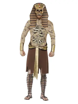 Zombie Egyptian Pharaoh Mummy Evil Halloween Fancy Dress Costumes Headpiece • $102.95