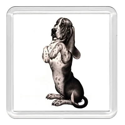 Basset Hound Dog Begging Acrylic Coaster Novelty Drink Cup Mat Great Gift • £3.49