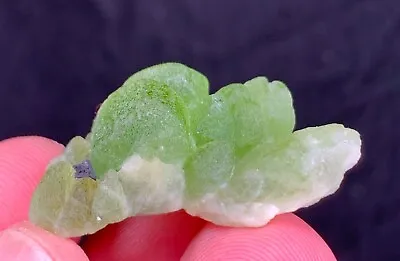Mesmerizing PERIDOT Olvin Colour Terminated Crystal  With MAGNATITE Crystal • $109