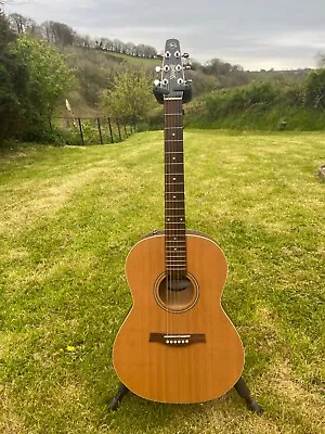 Beautiful Seagull Coastline Acoustic Guitar Fitted With LR Baggs Pickup  • £375