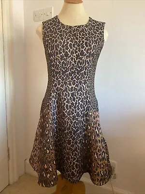 £9 • Buy ARROGANT CAT ASOS Animal Leopard Print Dress Size 12