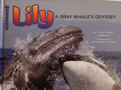 Lily - A Gray Whales Odyssey - Hardcover - GOOD • $4.54