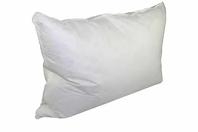Pacific Coast Down Surround Standard Pillow Found At Marriott Hotels • $59.97