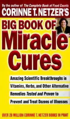 Corrine T Netzers Big Book Of Miracle Cures By Netzer Corinne T - ACCEPTABLE • $5.14