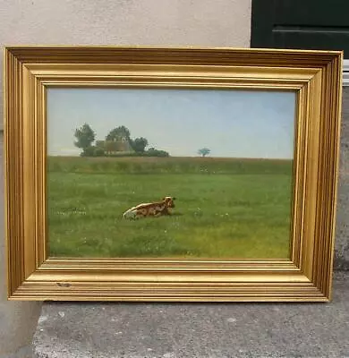 Kai Drews (1884)  A Spotted White Calf Alone In The Meadow. Best Drews Oil ! • $410
