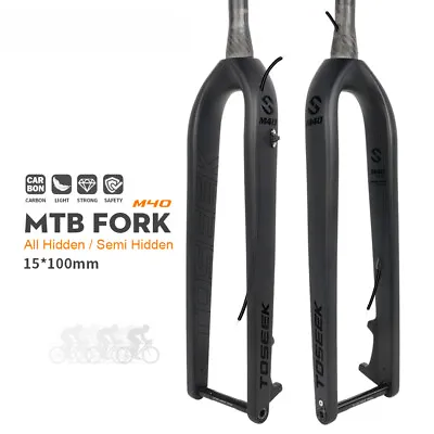 Carbon Fiber Bike Front Fork Thru Axle 15*100mm Bicycle Rigid Fork Vertebra Tube • $179.35
